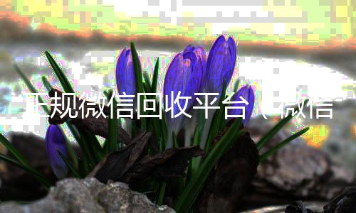 正规微信回收平高价收v台（微信回收平台联系方式）